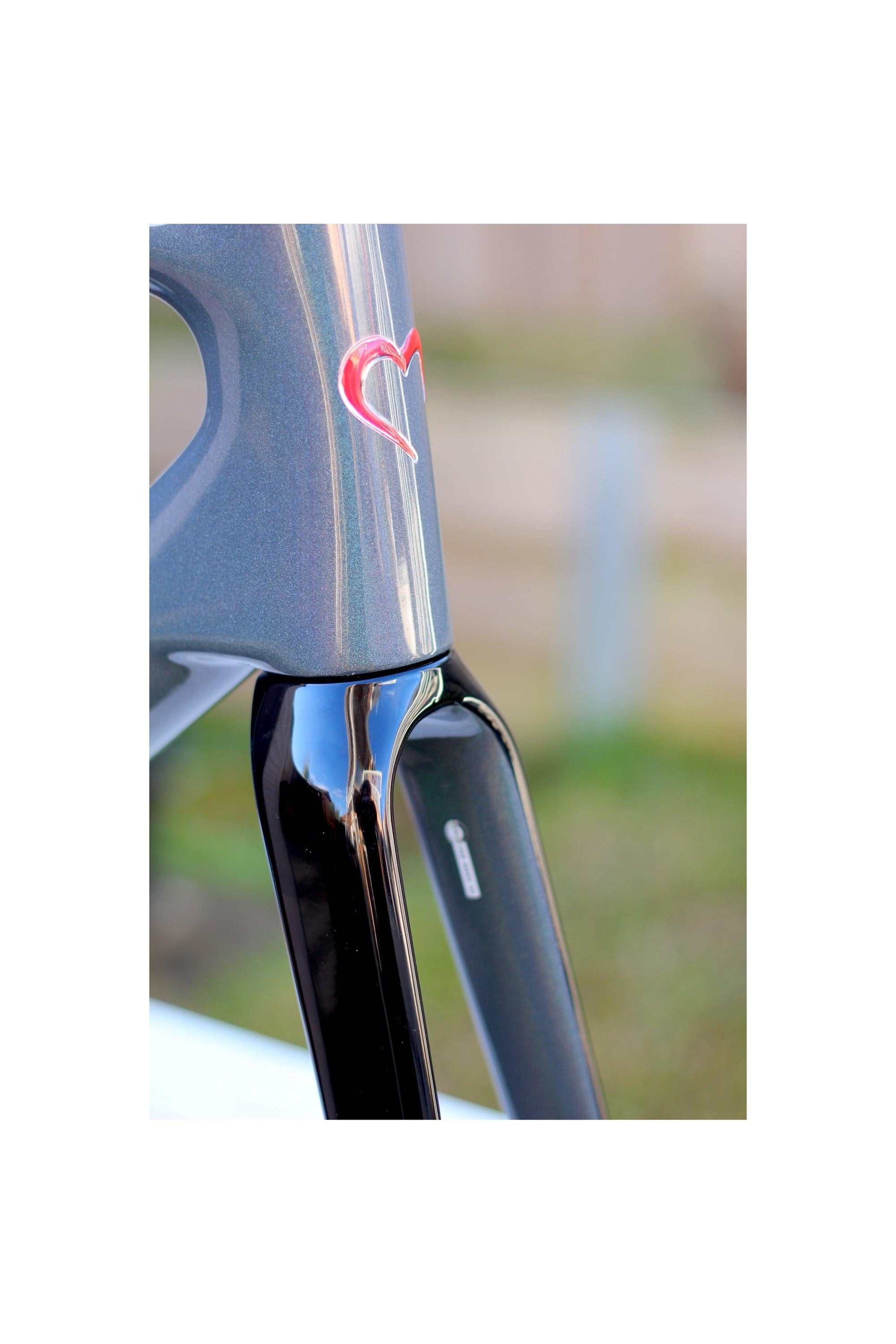 DE ROSA MERAK FRAMESET